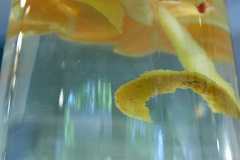 Warenwirtschaft_CO38445